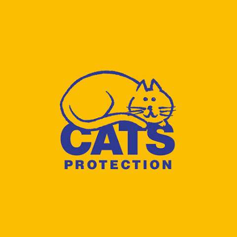 Cats Protection - Caernafron charity shop photo